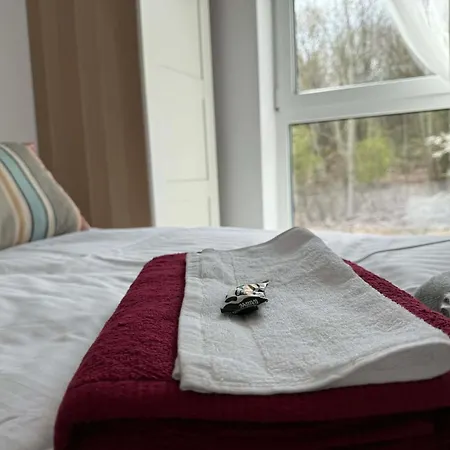 Homestay Проживание в семье Домброва-Гурнича
