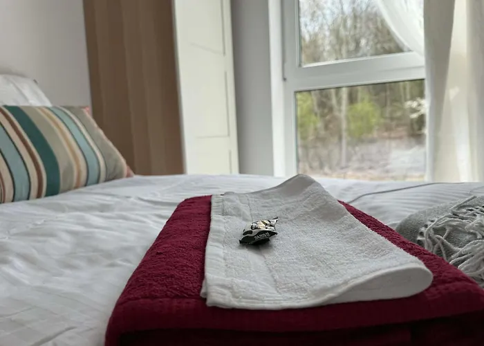 Homestay Accommodatie bij particulieren Dąbrowa Górnicza